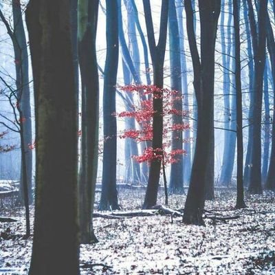 Cephas56717565's profile picture. 1130546384 Skye bank thank you