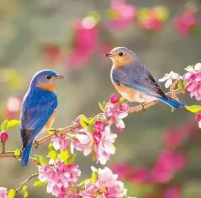 Oh31077678's profile picture. 