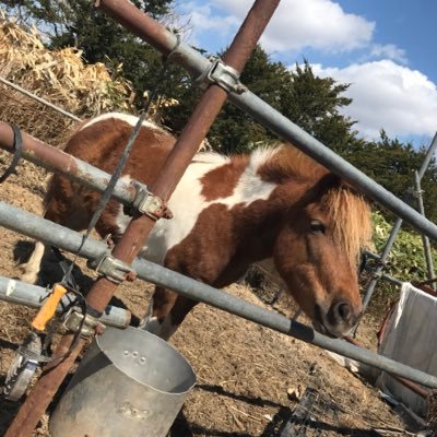 mi_92k's profile picture. #AAA #競馬 #北海道 #日ハム #ファイターズ