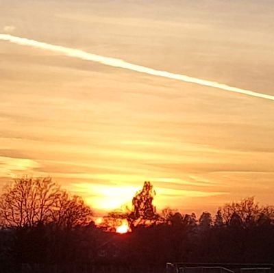 ClaudiaIAM85's profile picture. courage has no limits