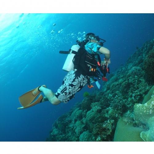 Aloha_diver's profile picture. ときどき水中に生息してます。タオ島とか石垣島でアロハシャツ着たダイバーを水中で目撃したなら多分私ですｗ
ロードバイクもやってます。