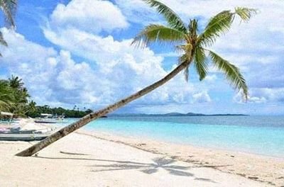 RomblonPhil's profile picture. 