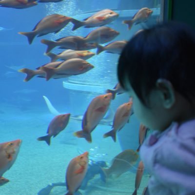 DoveyPamyu's profile picture. 