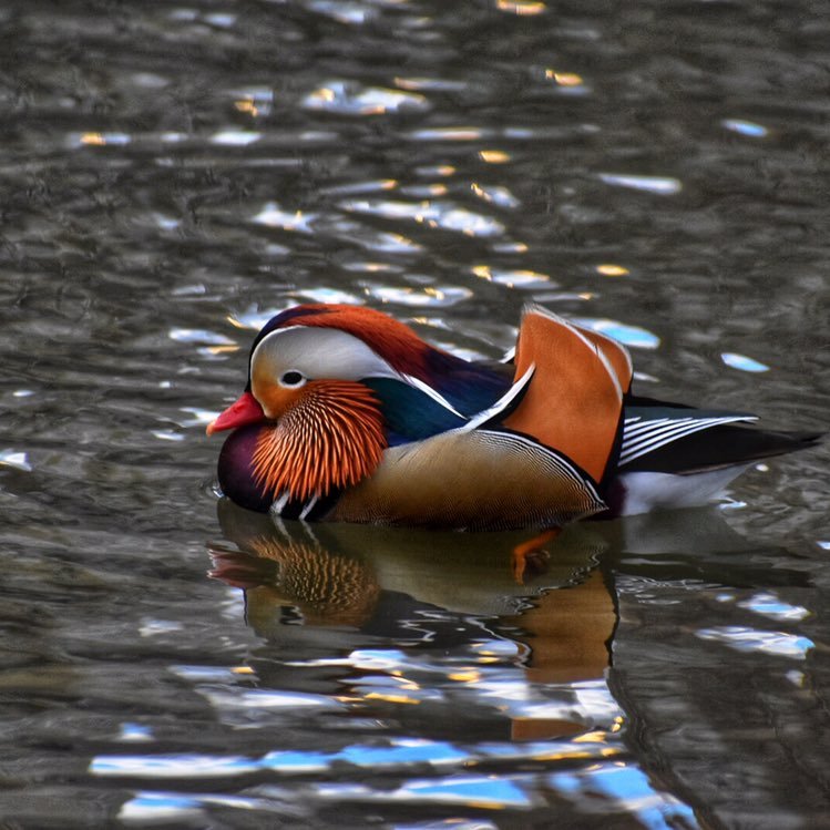 SophiaW8980's profile picture. what you think of me has nothing to do with me