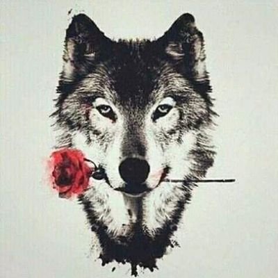 FenrizNicaragua's profile picture. Software engineer. Nicaraguan. 

Anti-dictaduras. Antiglobalista. Anti NOM.

🎼 Rock⭐🎶