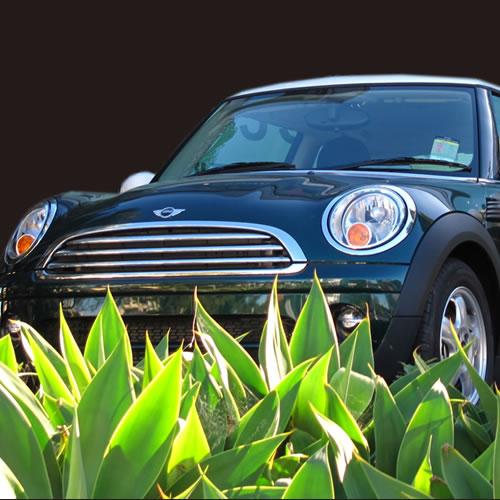 dita_mini's profile picture. Hi, I'm Dita, a 2010 MINI Cooper D, lovingly cared for by @halans. Feeling Cooper Dooper!