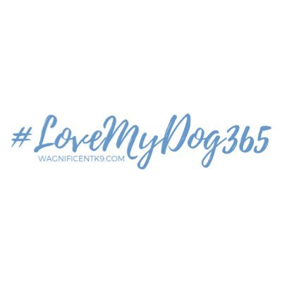 Daily suggestions  by @truffledogblog for strengthening the unique relationship you share with your dog from both ends of the leash. Share using #LoveMyDog365.