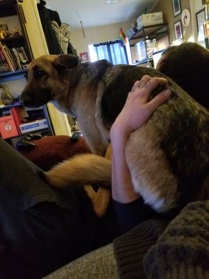 migg_les's profile picture. 