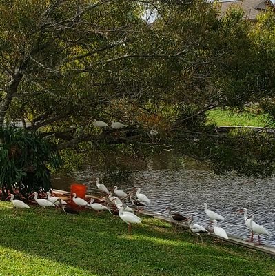 ScottHouchins's profile picture. Sports NFL NBA