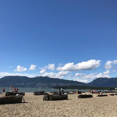 totallypipo's profile picture. 料理が苦手🥲けど体に良いもの食べたい