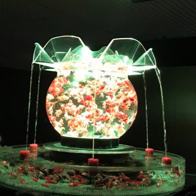 nemurigoke4630's profile picture. 自己投資と啓発に挑戦してみます！