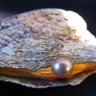 TradeBlueOyster's profile picture. A one man band striving to put money to work towards a better world. All statements should be considered entertainment and education.