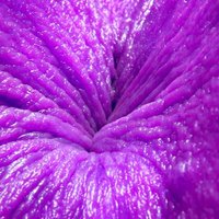 🍑💦🍆 (@thecreammmery) 's Twitter Profile