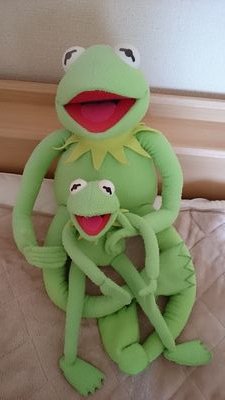 cutkunnn's profile picture. 