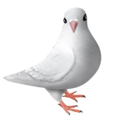 titohiro🕊さんのプロフィール画像