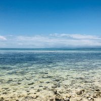 Hat TB (@hat_tb) 's Twitter Profile