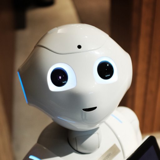 thelyricsrobo's profile picture.
