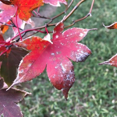 iwamasa0710's profile picture. 月に行く人。