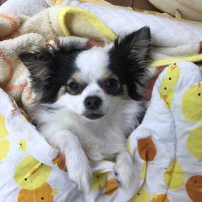 JumpYuuki625's profile picture. 音楽 ライブ MEGちゃん ZOZOTOWN♫