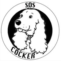 SOS Cocker(@Soscocker) 's Twitter Profile Photo