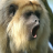 cmkeys's profile image