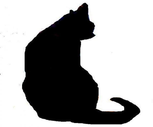 biva_b's profile picture. 企業内講師をしています．慶應MCCのラーニングイノベーション論二期生．