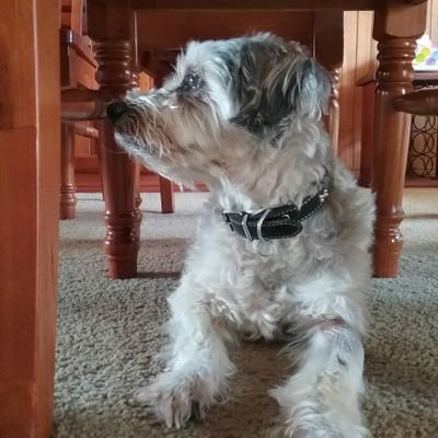 durakbobby's profile picture. We are not born equal we had no say in most of what we have