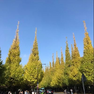 8T810's profile picture. 