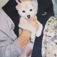 🐕🐾JIM4🐕🐾 (@t4680045) 's Twitter Profile