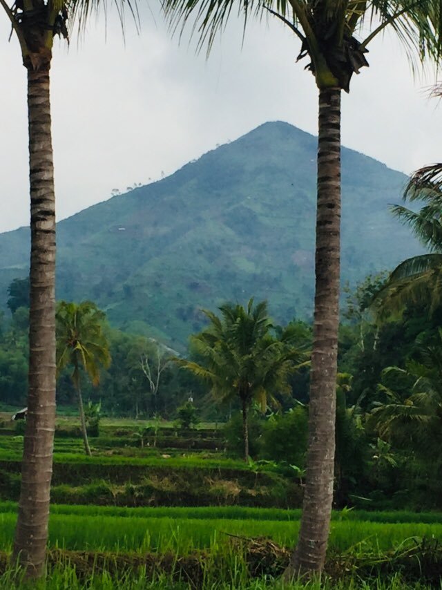 masman40926810's profile picture. Kuat for fun