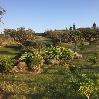 REDGO61849546's profile picture. #アバランチ #いくら丼 #golf #温泉