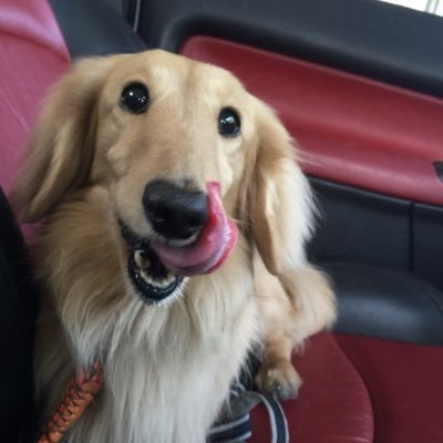 MIOhEnXE1RIPo20's profile picture. 