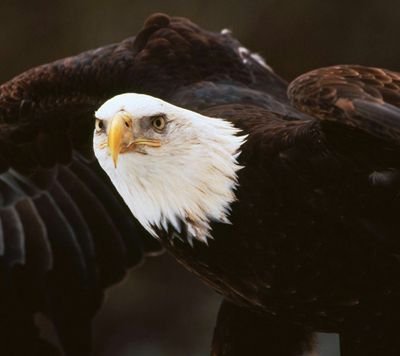 Jakub83982162's profile picture. 