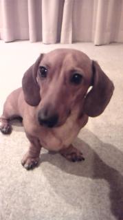 164luke's profile picture. しがない吟遊詩人