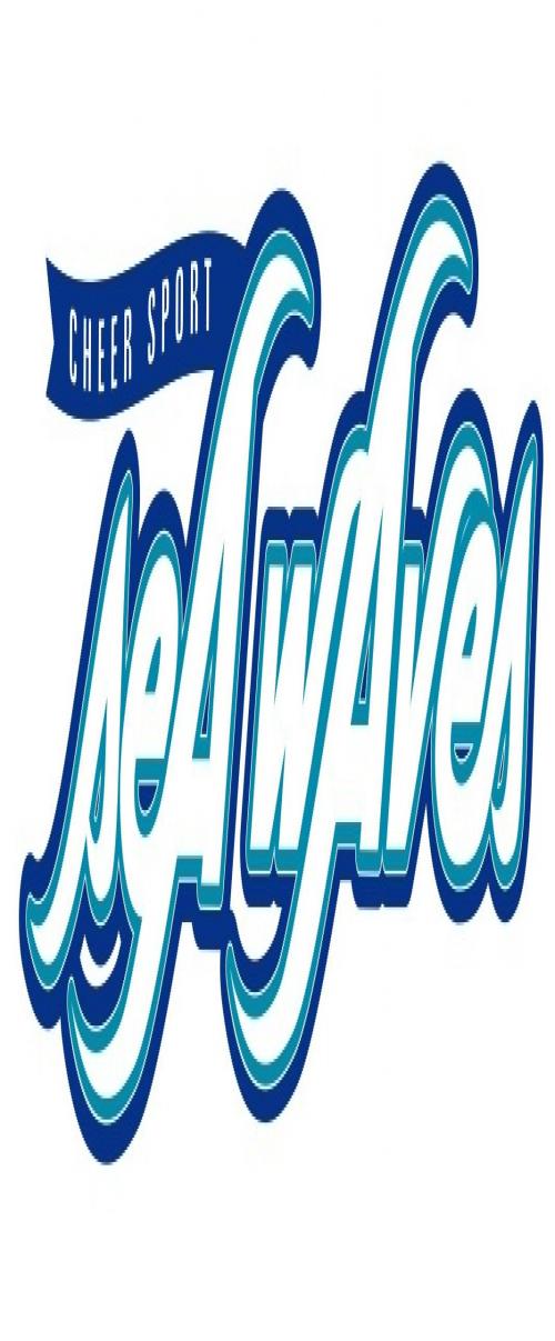 Competitive & Recreational Cheerleading Program for ALL ages & levels!