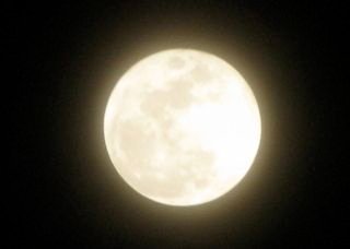 runa_moon16's profile picture. 雑多垢。
FXや副業、アフェリエイト系のフォロー不要、ブロックします。