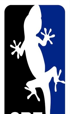 Twitter oficial del Club Bàsquet Trasmapi Formentera
