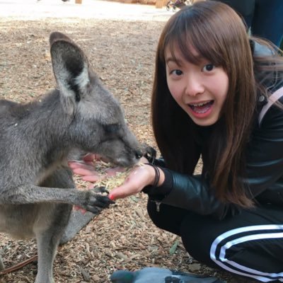 mikankan6_6's profile picture. SG▷USH English Literature ◎ESS