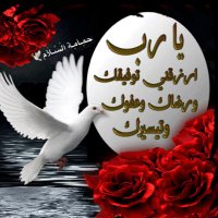 حمِـآمِـة آلَسًـلَآم🕊 (@asmakurdish1) 's Twitter Profile