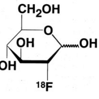 Molecular Imaging (@molecularimging) 's Twitter Profile