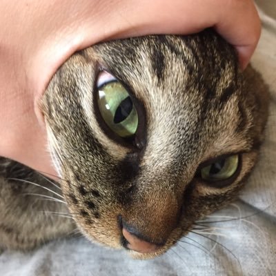reina09174249's profile picture. 