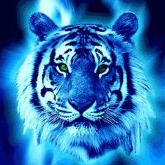 BlueTigerResist's profile picture. 🇺🇸#TheResistance #Fucktrump #Nevertrump #Fuckgop #BlueTsunami2020 #VoteBlueNoMatterWho2020 🐯Animals 👾Video Games 📚Books 🎬Movies 🎵Music ⚛️Atheist