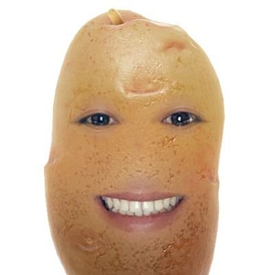 PuiteCP's profile picture. I like beautiful melodies telling me terrible things -T.W
+ Tea lover's lover.