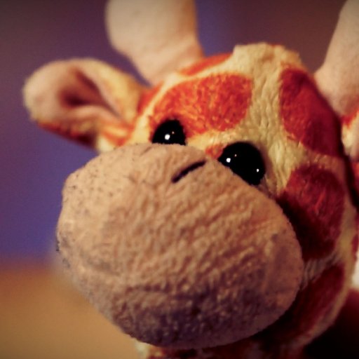 BonganiGiraffe Profile Picture