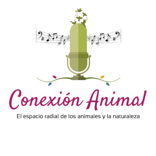 Conexión Animal