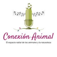 Conexión Animal(@RCAnimal) 's Twitter Profile Photo