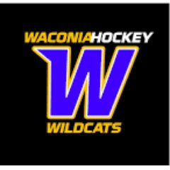 The mission of the WHA is to promote and develop youth ice hockey within our communities by providing a high-quality, safe and fun hockey program for all.