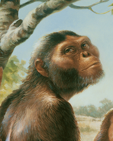 LucyASUIHO's profile picture. Lucy is one of the milestones of human evolution, discovered in 1974 by Dr. Don Johanson. Johanson founded the ASU Institute of Human Origins (ASUIHO)