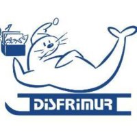 Grupo Disfrimur (@grupodisfrimur) 's Twitter Profile