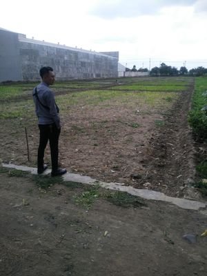 HendiSe57949936's profile picture. Mencari Calon istri